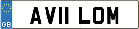 Truck License Plate